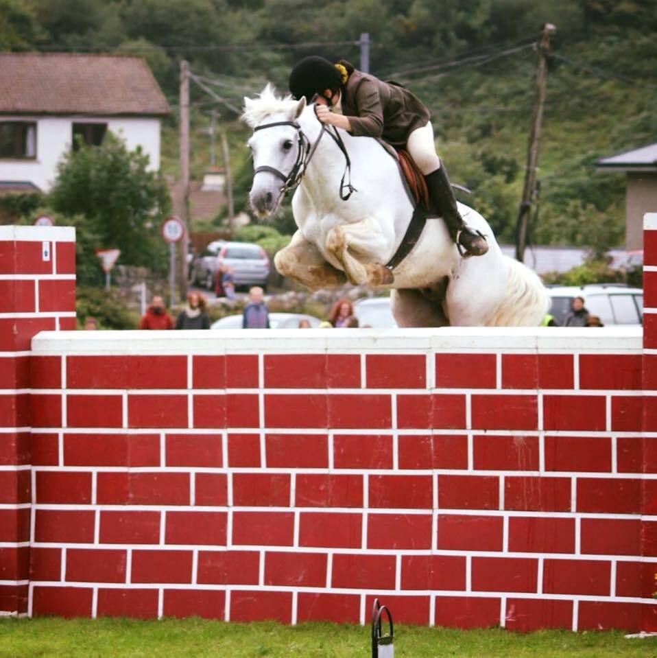 SeaStorm Diamond Equine Connemara Pony Showjumping in Clifden Show