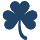                                                     Shamrock
  